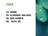 统编版（2024）八年级语文上册16散文二篇-永久的生命课件（同课异构二）