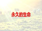 统编版（2024）八年级语文上册16散文二篇-永久的生命课件（同课异构三）