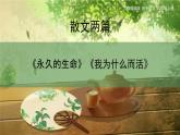 统编版（2024）八年级语文上册16散文二篇课件