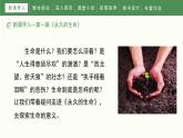 统编版（2024）八年级语文上册16散文二篇课件