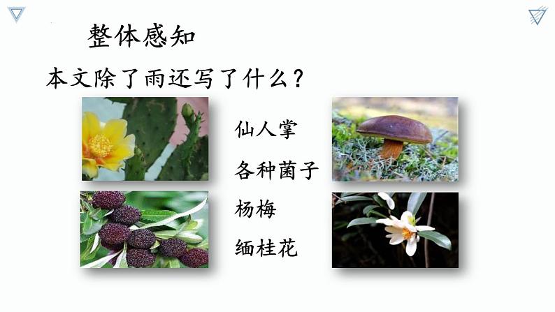 统编版（2024）八年级语文上册17昆明的雨课件（同课异构六）第6页