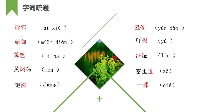统编版（2024）八年级语文上册17昆明的雨课件（同课异构三）第5页