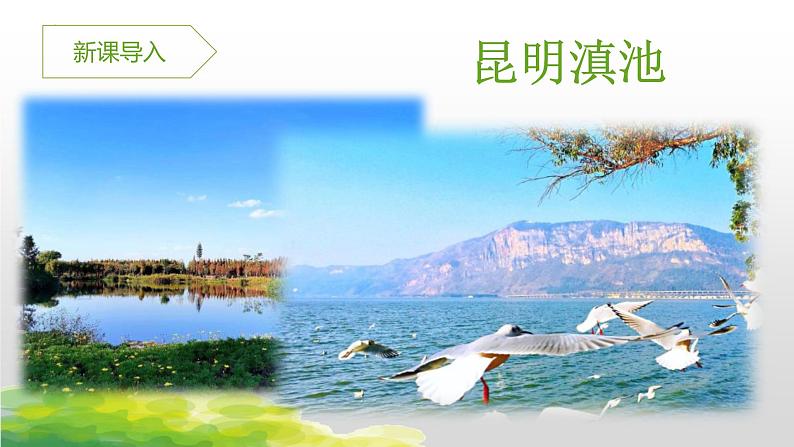 统编版（2024）八年级语文上册17昆明的雨课件（同课异构五）第2页