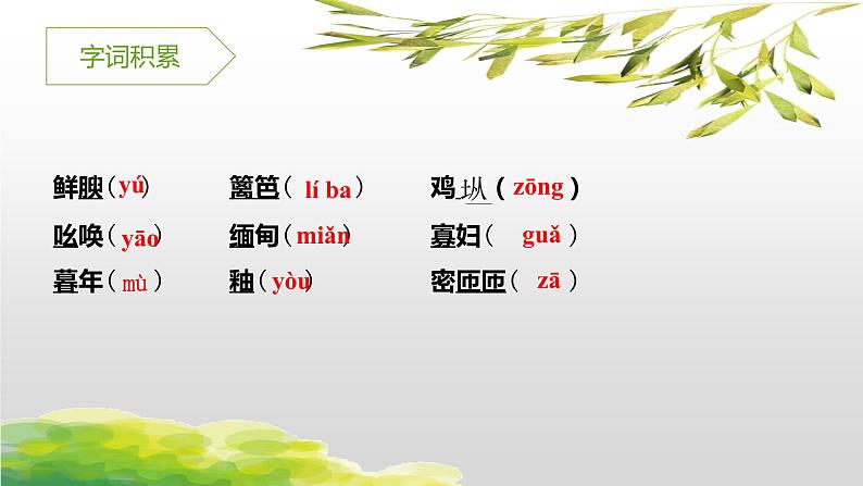 统编版（2024）八年级语文上册17昆明的雨课件（同课异构五）第7页