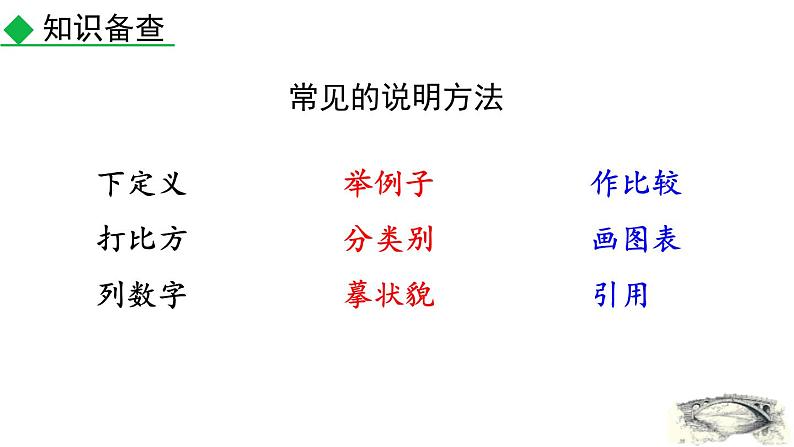 统编版（2024）八年级语文上册18中国石拱桥第一课时课件第6页