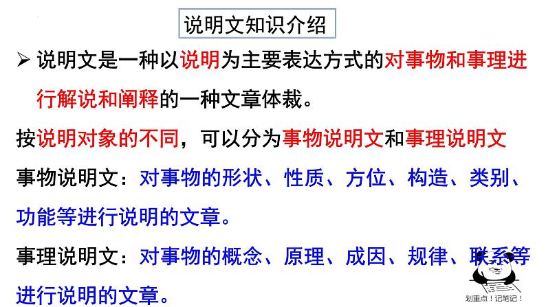 统编版（2024）八年级语文上册18中国石拱桥课件（同课异构三）第3页