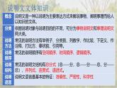 统编版（2024）八年级语文上册18中国石拱桥课件（同课异构四）