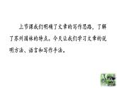 统编版（2024）八年级语文上册19苏州园林第二课时ppt课件