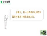 统编版（2024）八年级语文上册19苏州园林第二课时ppt课件