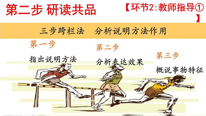 统编版（2024）八年级语文上册19苏州园林第二课时课件07