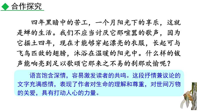 统编版（2024）八年级语文上册21蝉第二课时课件第8页