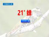 统编版（2024）八年级语文上册21蝉第一课时课件