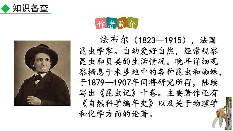 统编版（2024）八年级语文上册21蝉第一课时课件第4页
