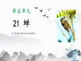 统编版（2024）八年级语文上册21蝉课件（同课异构二）