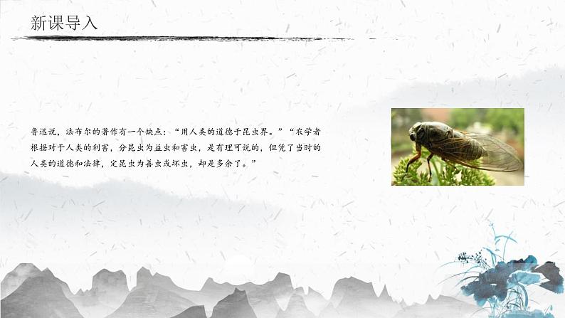 统编版（2024）八年级语文上册21蝉课件（同课异构二）第3页