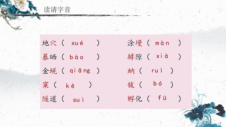 统编版（2024）八年级语文上册21蝉课件（同课异构二）第6页