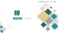 人教部编版（2024）八年级上册蝉背景图课件ppt