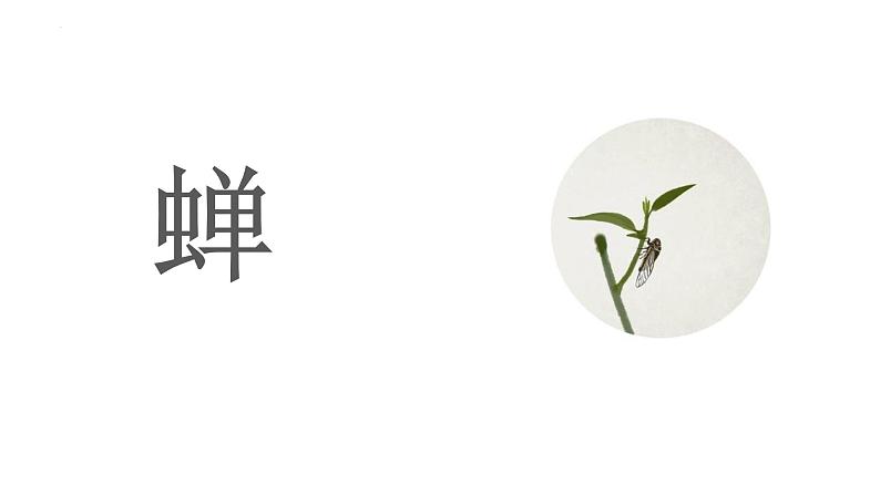 统编版（2024）八年级语文上册21蝉课件（同课异构一）第1页