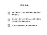 统编版（2024）八年级语文上册21蝉课件（同课异构一）