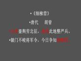 统编版（2024）八年级语文上册25周亚夫军细柳课件（同课异构三）