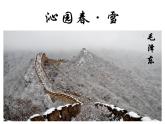 统编版（2024）九年级语文上册1沁园春•雪课件（同课异构四）