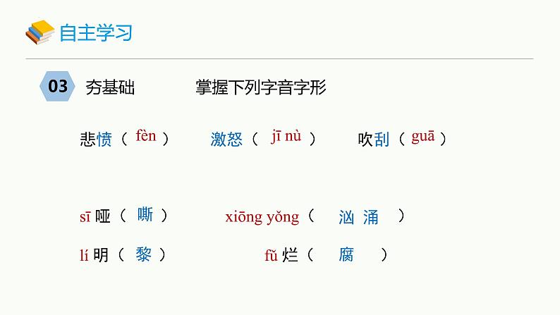 统编版（2024）九年级语文上册3我爱这土地课件（同课异构二）第5页