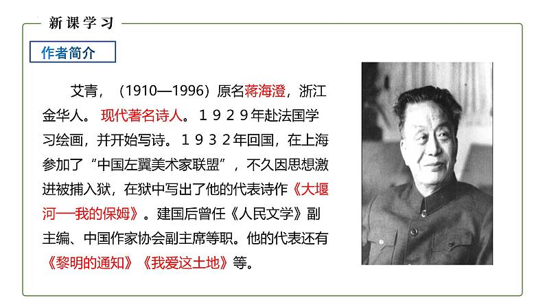 统编版（2024）九年级语文上册3我爱这土地课件（同课异构四）第5页