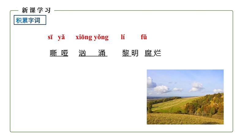 统编版（2024）九年级语文上册3我爱这土地课件（同课异构四）第8页