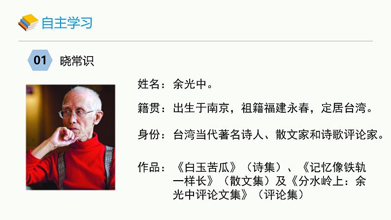 统编版（2024）九年级语文上册4乡愁课件（同课异构二）第3页