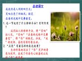 统编版（2024）九年级语文上册5你是人间的四月天第二课时课件
