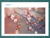 统编版（2024）九年级语文上册5你是人间的四月天第一课时课件