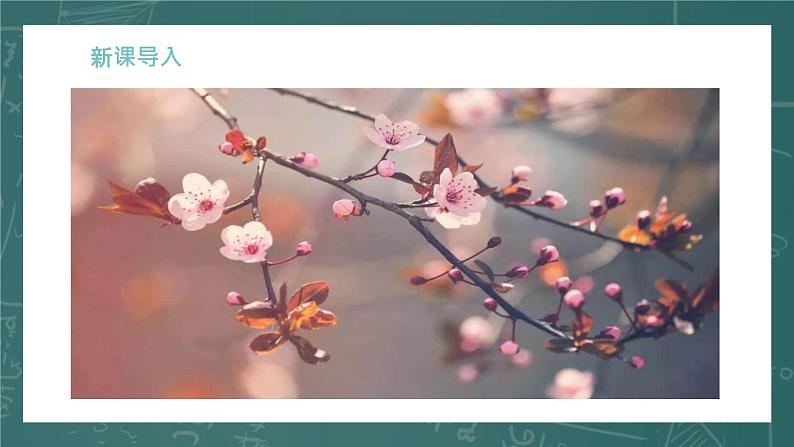 统编版（2024）九年级语文上册5你是人间的四月天第一课时课件第5页