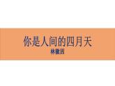 统编版（2024）九年级语文上册5你是人间的四月天课件（同课异构二）