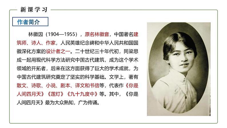 统编版（2024）九年级语文上册5你是人间的四月天课件（同课异构二）第5页