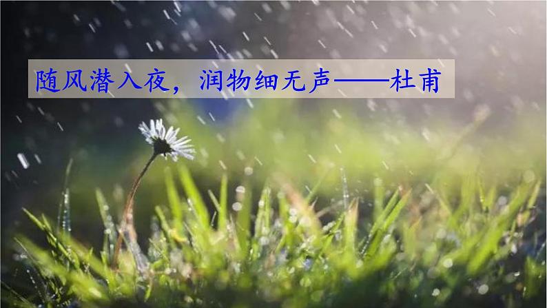 统编版（2024）九年级语文上册6我看第一课时课件第2页