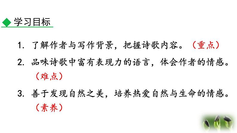 统编版（2024）九年级语文上册6我看第一课时课件第5页