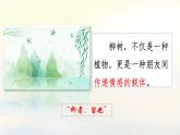 统编版（2024）九年级语文上册第一单元任务三 尝试创作课件（同课异构三）