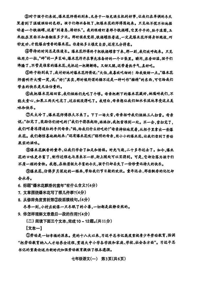 河南省驻马店确山县2024-2025学年七年级上学期10月月考语文试题(02)第3页