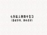 期中复习《字词和课内古诗词》课件 2024—2025学年统编版语文七年级上册