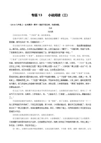 专题13 小说阅读（三）（解析版）-备战2024-2025学年九年级语文上学期期中真题分类汇编（山东专用）