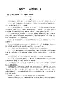 专题11 小说阅读（一）（原卷版）-备战2024-2025学年九年级语文上学期期中真题分类汇编（山东专用）