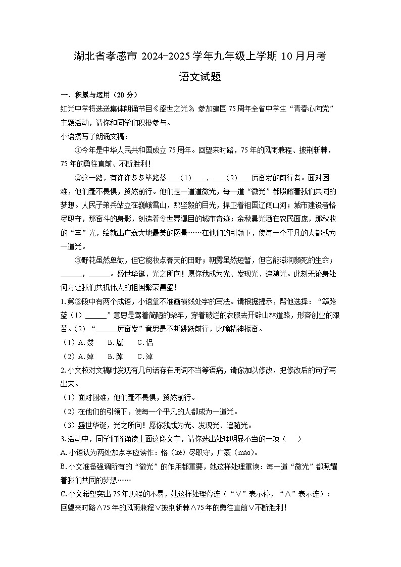 湖北省孝感市2024-2025学年九年级上学期10月月考语文试题（解析版）第1页