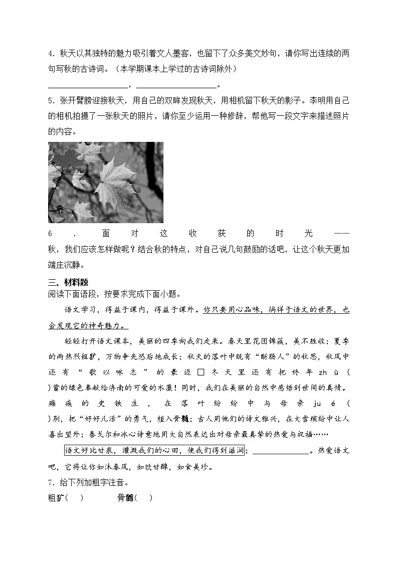 江苏省扬州市宝应县2024-2025学年七年级上学期10月月考语文试卷(含答案)02