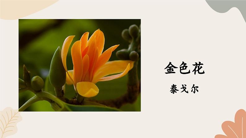 统编2024版七年级上册语文 7《散文诗二首》课件02