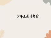 统编2024版七年级上册语文 第四单元  专题学习活动  少年正是读书时课件