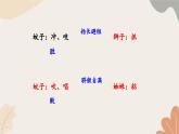 统编2024版七年级上册语文 24  寓言四则2 《蚊子和狮子》课件
