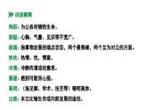 13  《纪念白求恩》课件人教版2024七年级语文上册