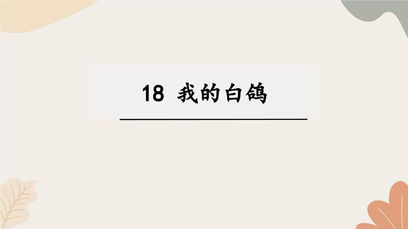 统编2024版七年级上册语文 18《我的白鸽》课件第1页