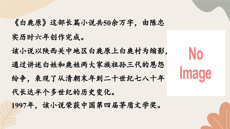 统编2024版七年级上册语文 18《我的白鸽》课件06