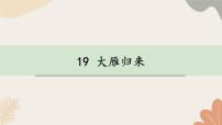 人教部编版（2024）七年级上册（2024）19 大雁归来/利奥波德图文课件ppt